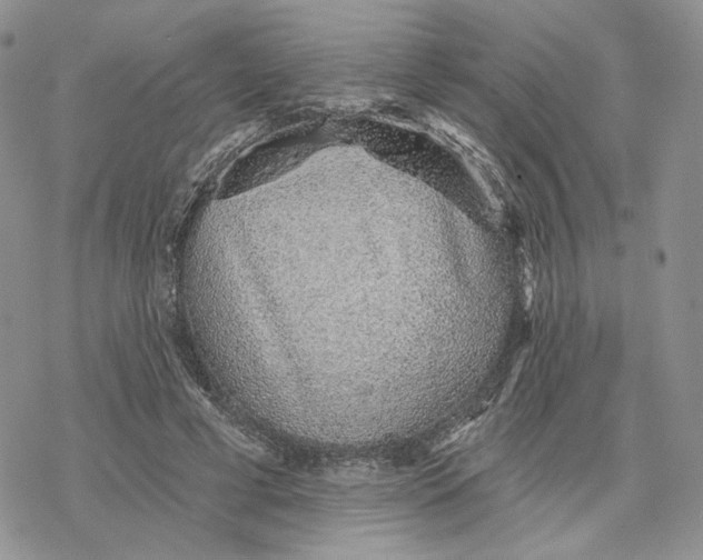 X0000078270593200611251355