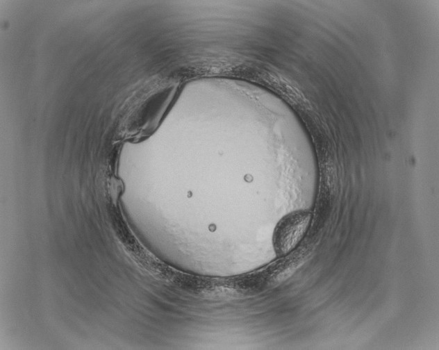 X0000078270594200611251355