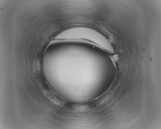 X0000078270597200611251355