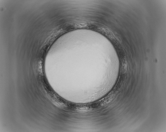 X0000078270598200611251355