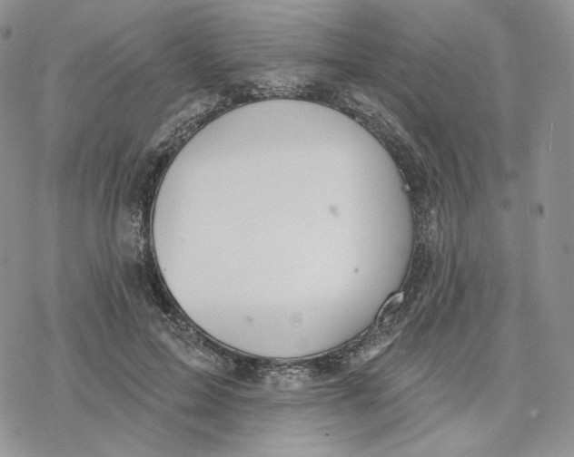 X0000078270599200611251355