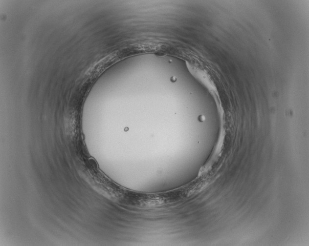 X0000078270600200611251355