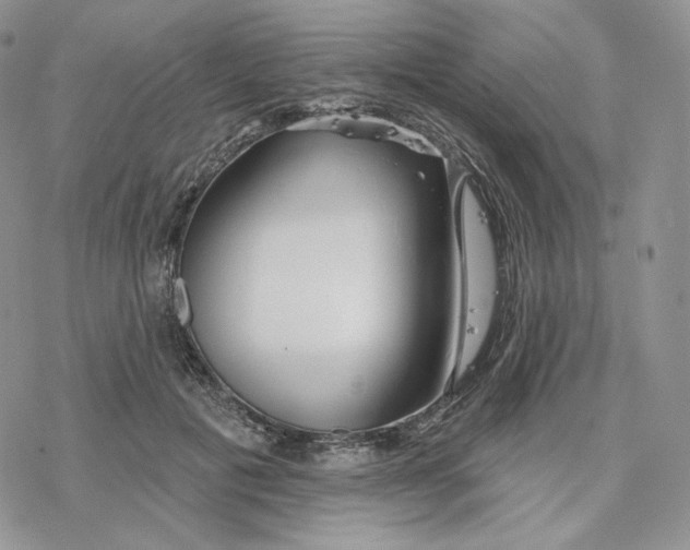 X0000078270601200611251355