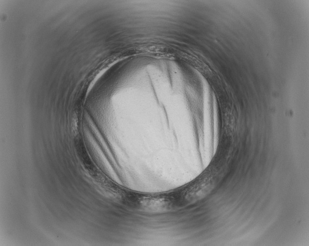 X0000078270602200611251355