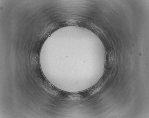 X0000078270603200611251355