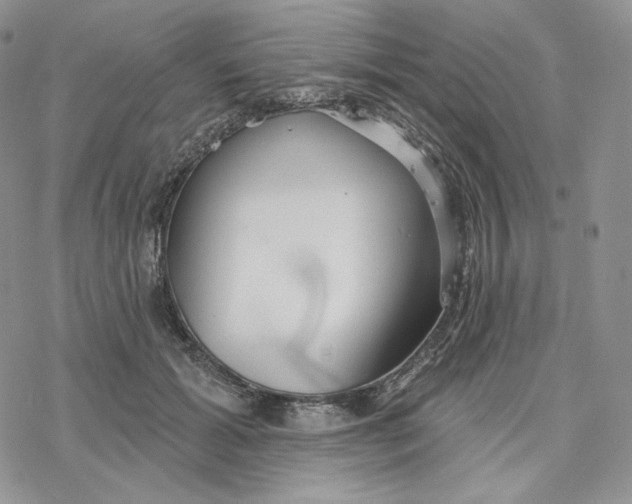 X0000078270605200611251355