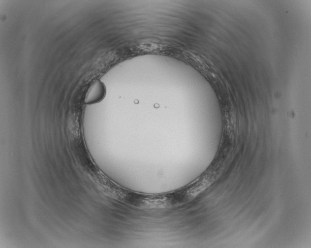 X0000078270606200611251355