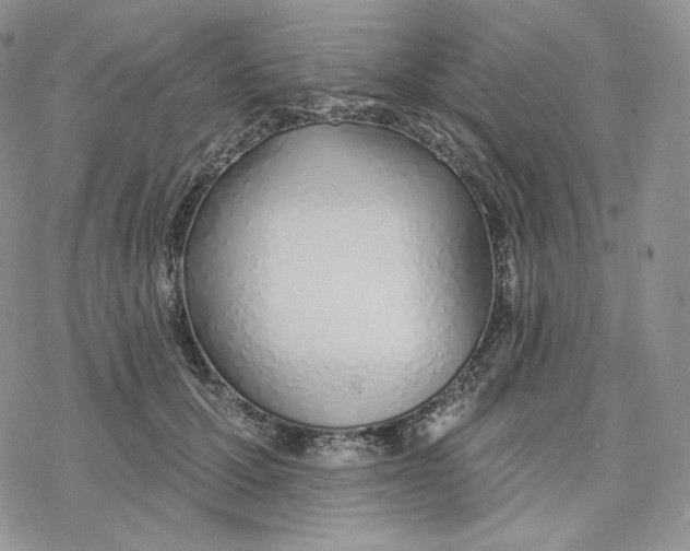 X0000078270607200611251355