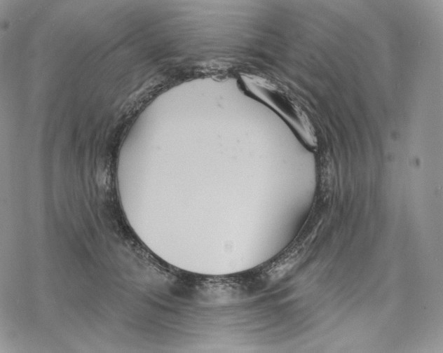 X0000078270608200611251355