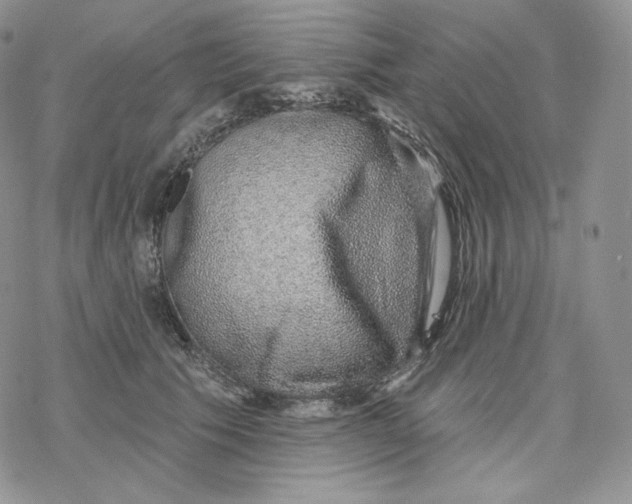 X0000078270609200611251355