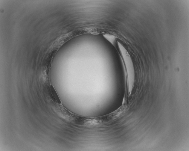 X0000078270611200611251355