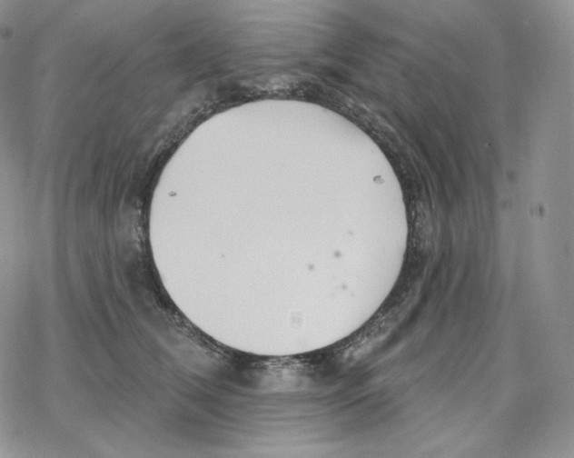 X0000078270612200611251355