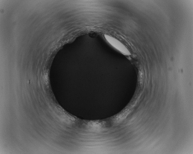 X0000078270613200611251355