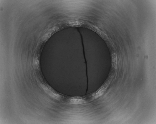 X0000078270614200611251355