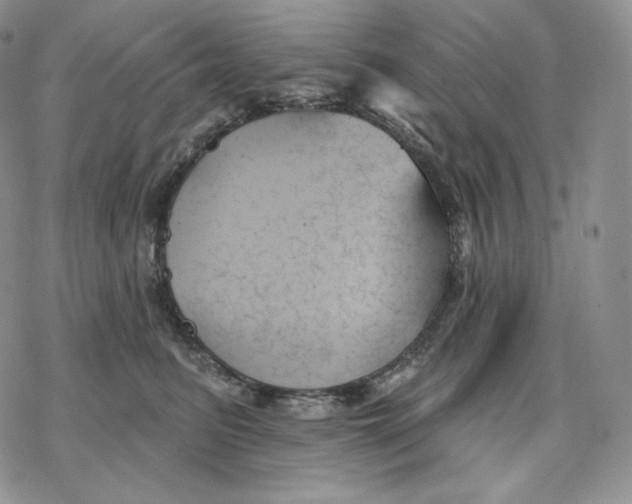 X0000078270615200611251355