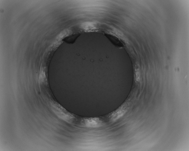 X0000078270618200611251355