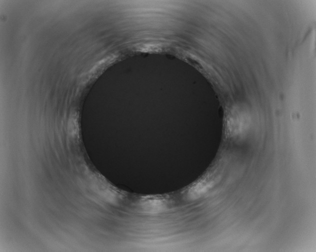 X0000078270620200611251355