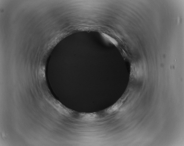 X0000078270621200611251355