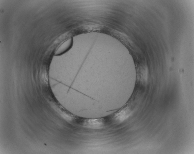 X0000078270622200611251355