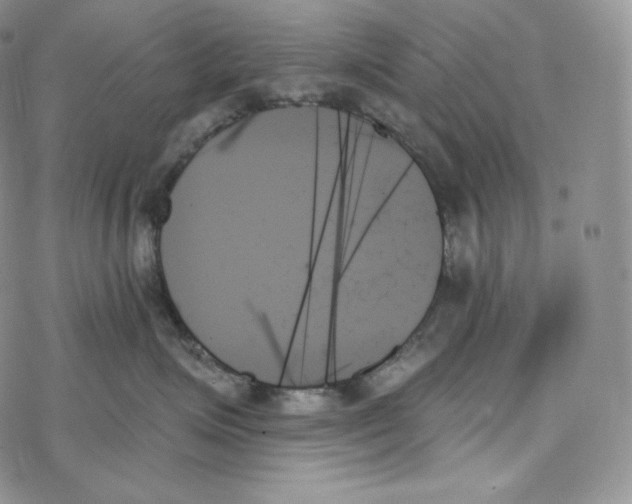 X0000078270623200611251355