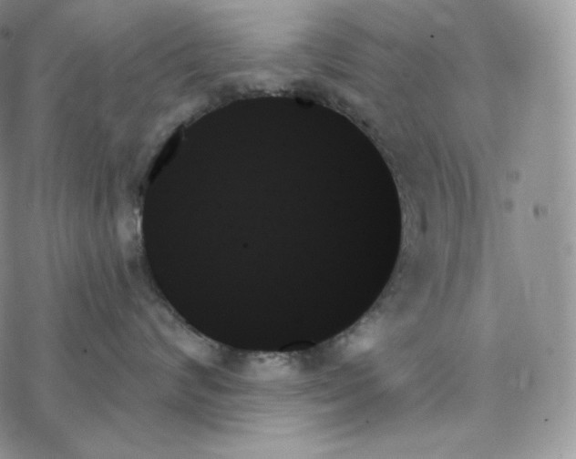 X0000078270624200611251355