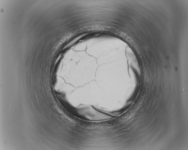 X0000078270625200611251354