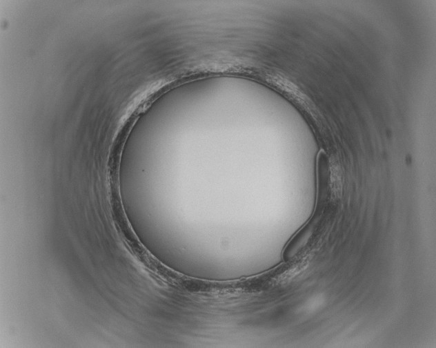 X0000078270626200611251354