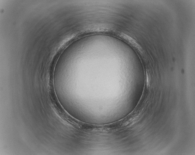 X0000078270627200611251354