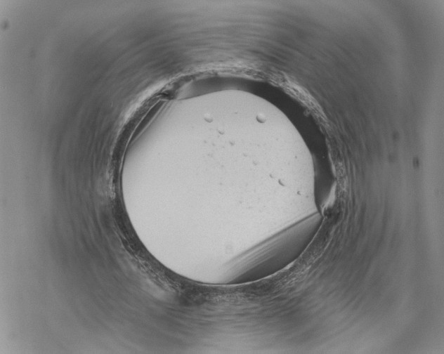 X0000078270628200611251354