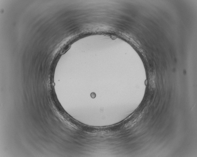 X0000078270629200611251354