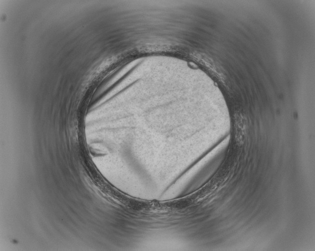 X0000078270631200611251354