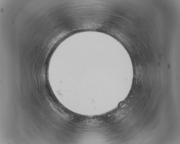 X0000078270632200611251354