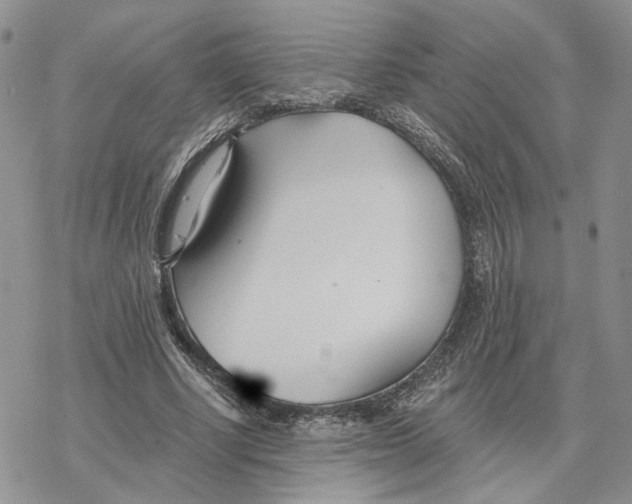 X0000078270634200611251354