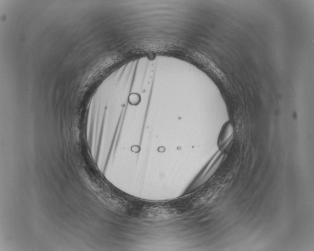 X0000078270635200611251354