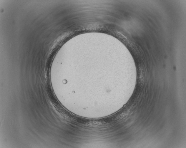 X0000078270636200611251354