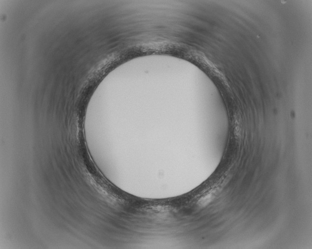 X0000078270637200611251354