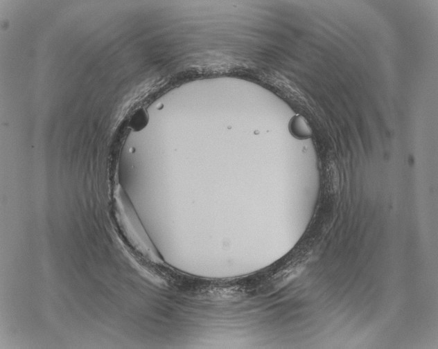 X0000078270638200611251354