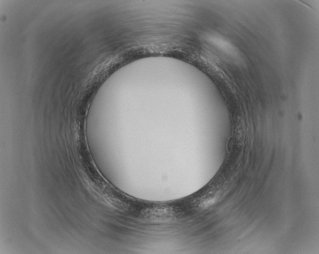 X0000078270639200611251354