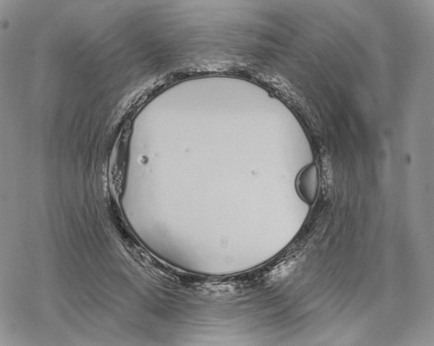 X0000078270640200611251354