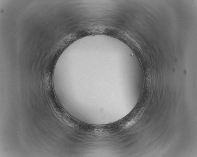 X0000078270641200611251354