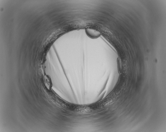 X0000078270642200611251354