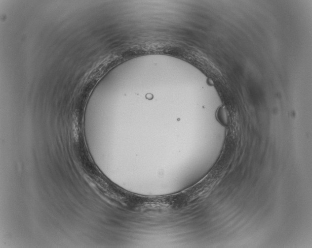 X0000078270644200611251354