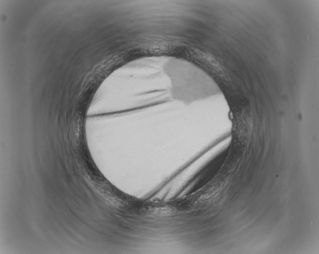 X0000078270645200611251354