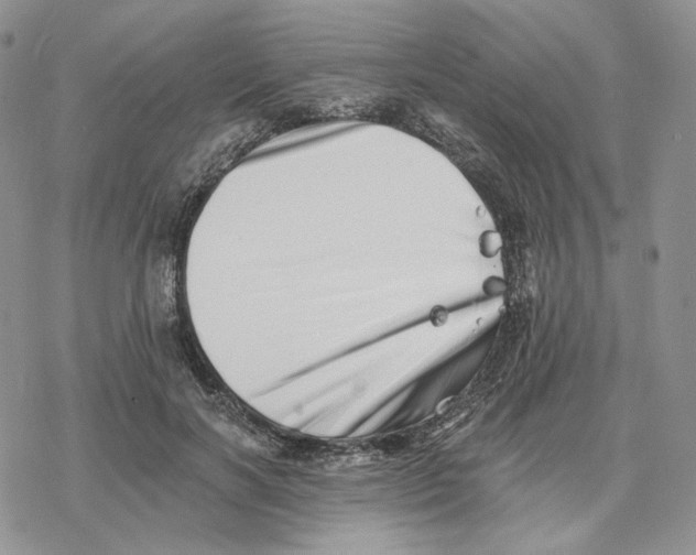 X0000078270646200611251354