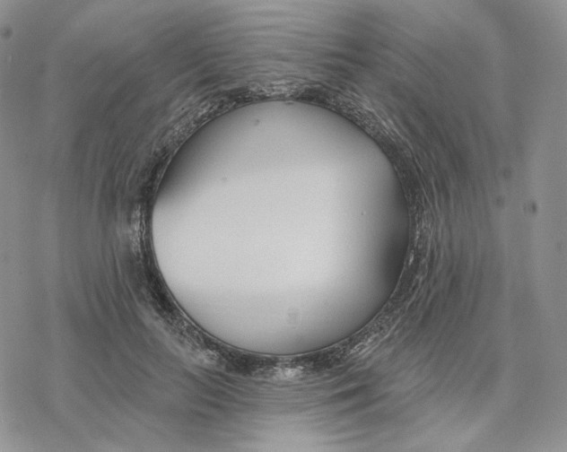 X0000078270647200611251354