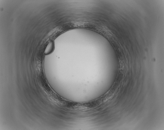 X0000078270648200611251354