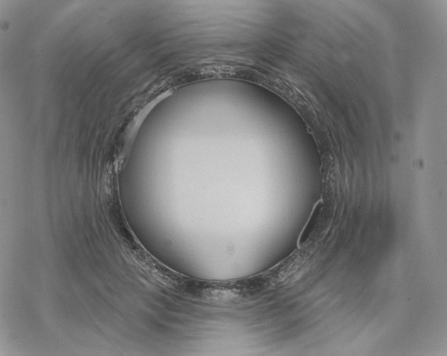 X0000078270649200611251354