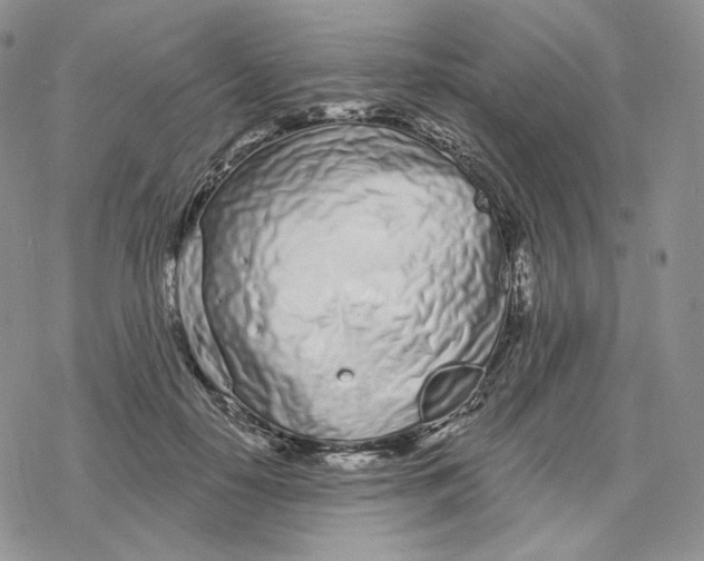 X0000078270650200611251354