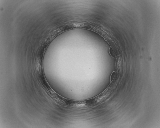 X0000078270651200611251354