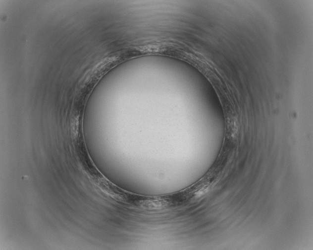 X0000078270652200611251354